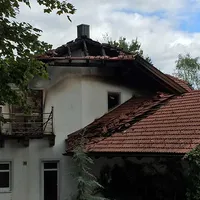 frisch4-large.jpg